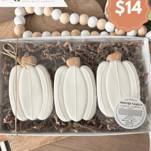 Pretty Pumpkin Trio 🤍